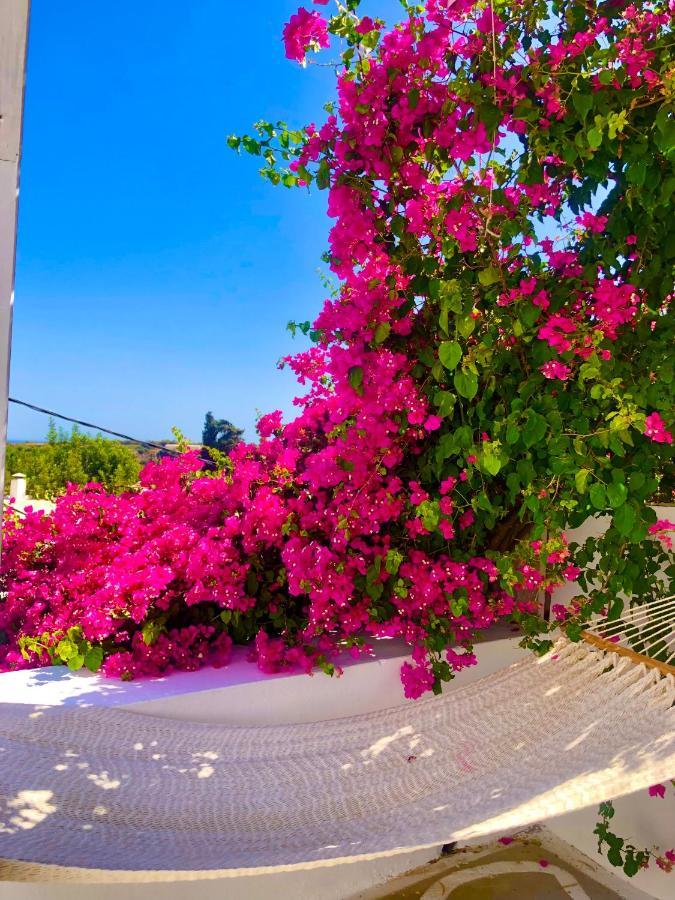 The Summer Pink House Lakhania Exteriör bild
